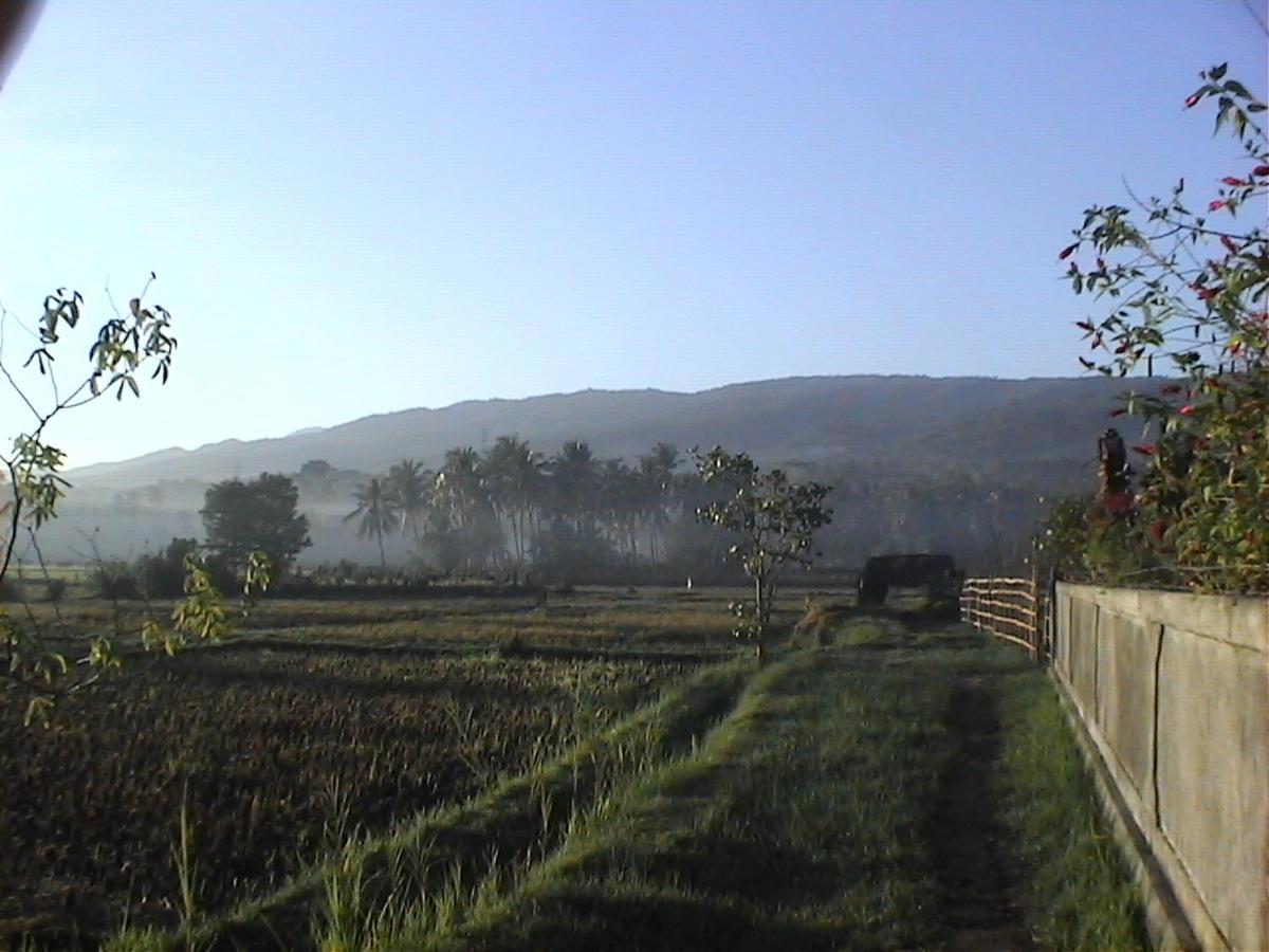 Bed and Breakfast Singko Lovina Exterior foto