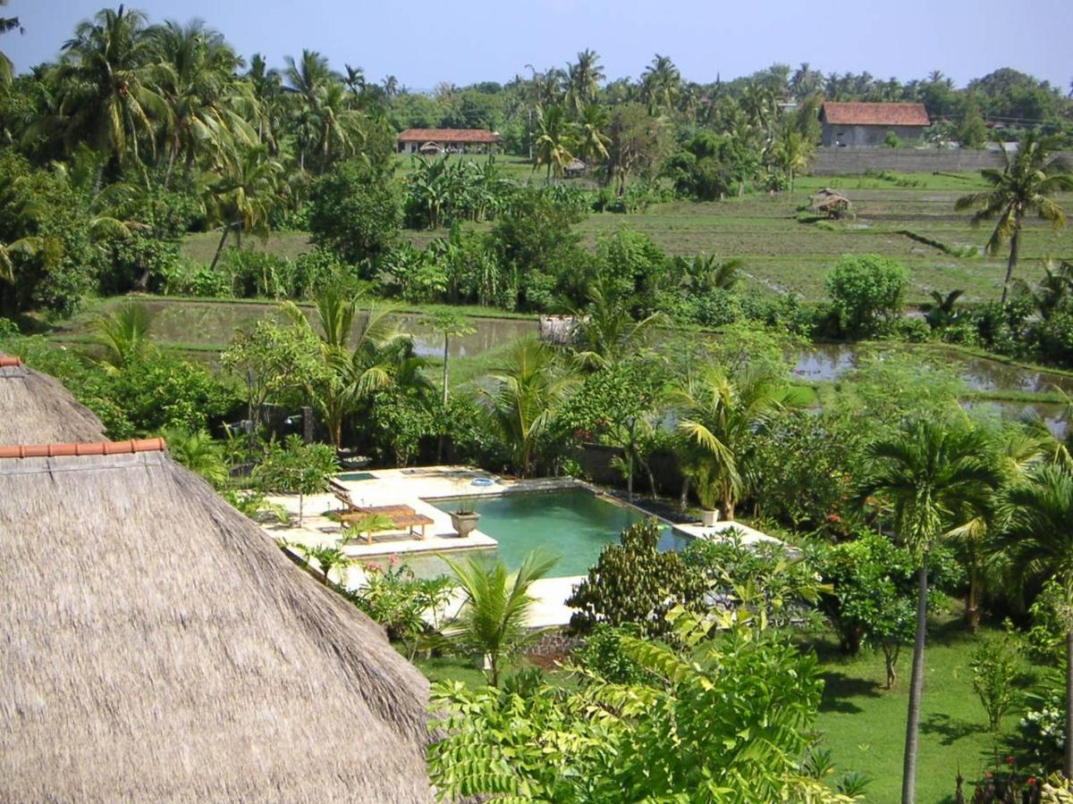 Bed and Breakfast Singko Lovina Exterior foto