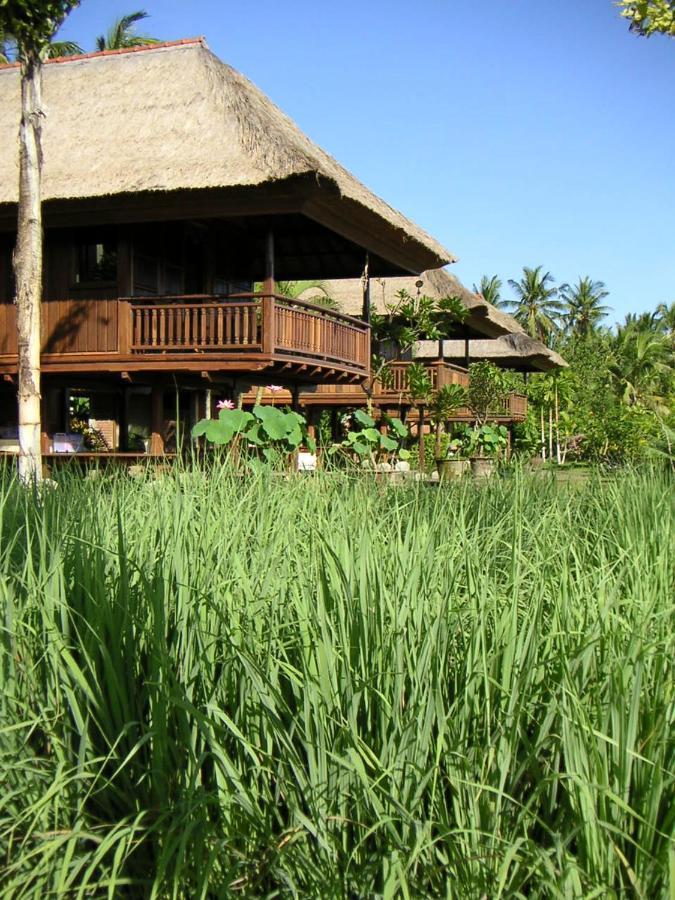 Bed and Breakfast Singko Lovina Exterior foto