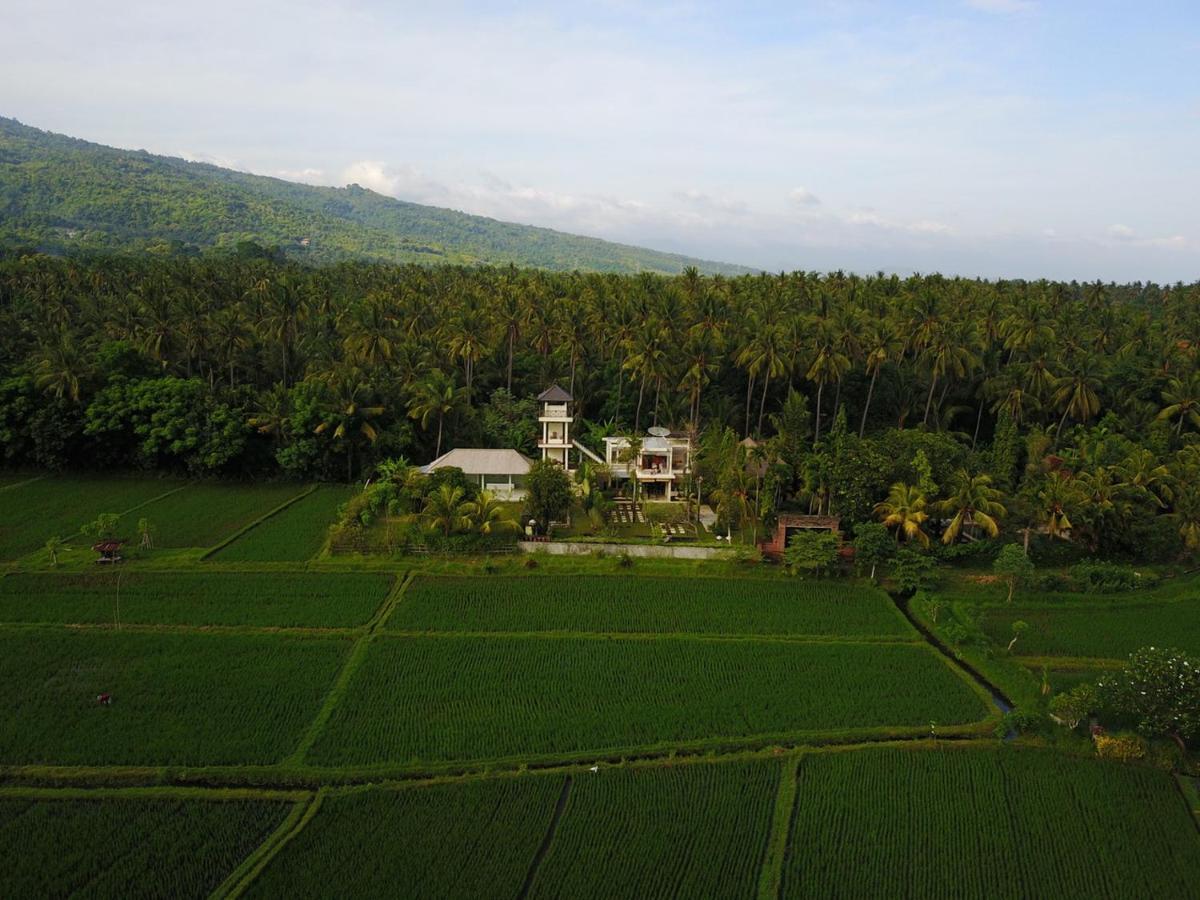 Bed and Breakfast Singko Lovina Exterior foto